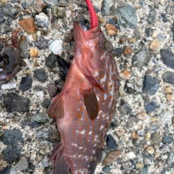 パターン掴めず…