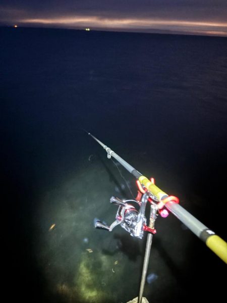 春アオリイカ5回目