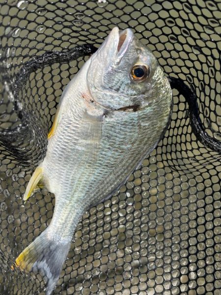 水門閉じたら明らかあたり減る