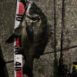 チニング〜デイandナイト