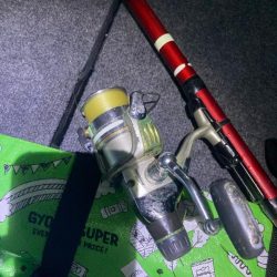 朝マズメのアジ狙いで14匹GET