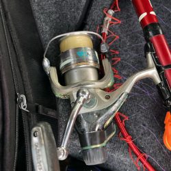 朝マズメのアジ狙いで8匹GET