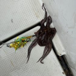 タコ釣り　リタックル