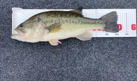 1日ボート釣行！