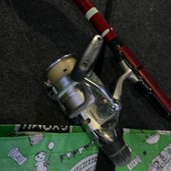 朝マズメのアジ狙いで8匹GET