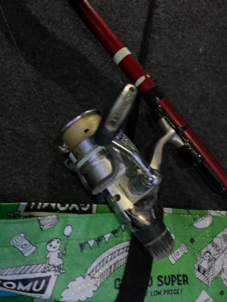 朝マズメのアジ狙いで8匹GET