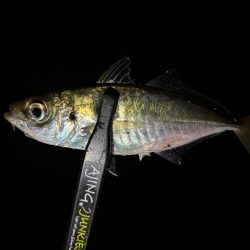 足元ポロリの原因は何⁇