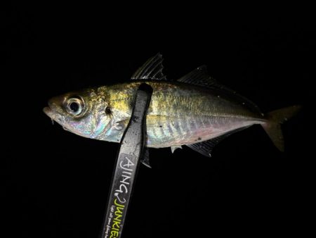 足元ポロリの原因は何⁇