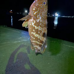 遠征ライトゲーム