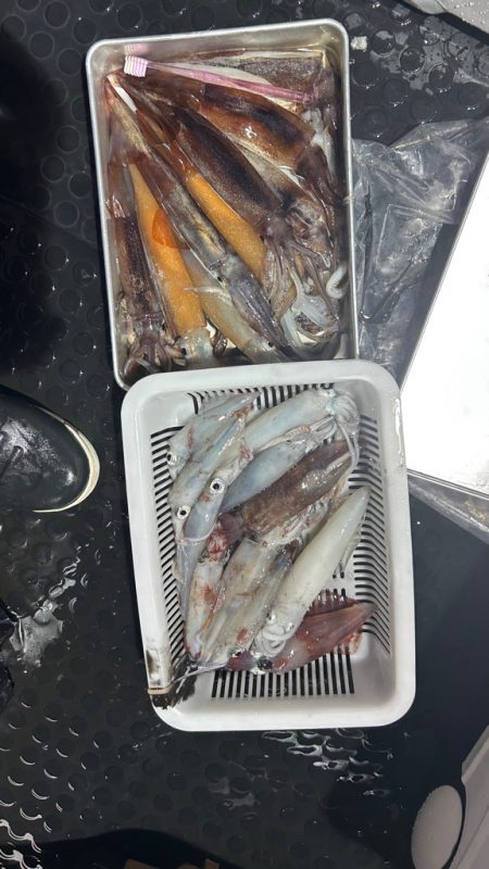 シーズン2回目イカメタル