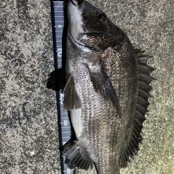 爆風ヘチ釣り