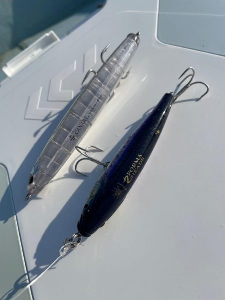 ボートキャスティング