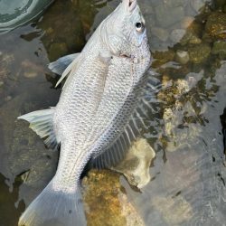 シークレットチニング