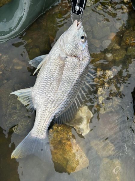 シークレットチニング