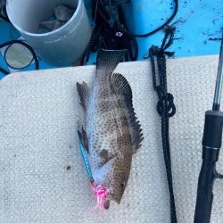 ロックフィッシュ