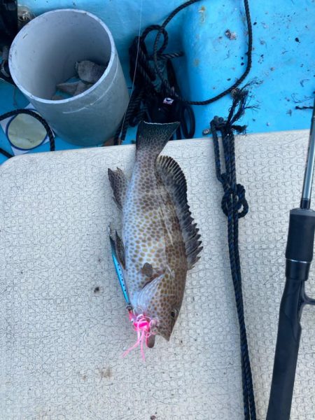 ロックフィッシュ