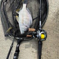 中々の入れ食いただし場所による