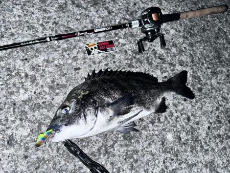 おチヌさんイージー？vol.2