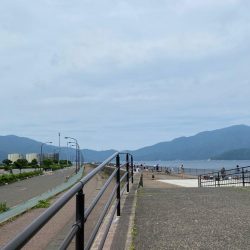 デイゲームケンサキ