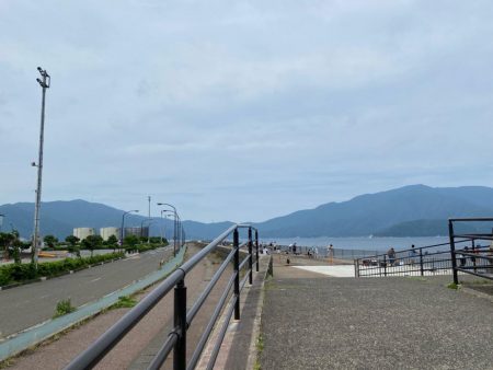 デイゲームケンサキ