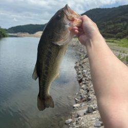 バックウォーター