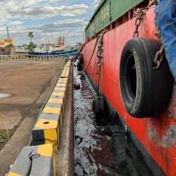 食い渋ったら船底を狙う