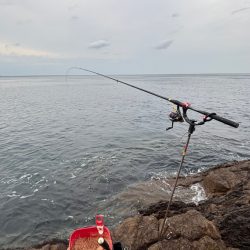 梅雨目前のグレ釣り