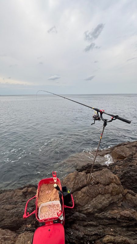 梅雨目前のグレ釣り