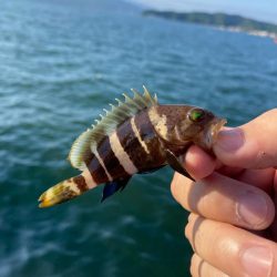 宮津遠征エサライトゲーム