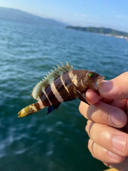 宮津遠征エサライトゲーム