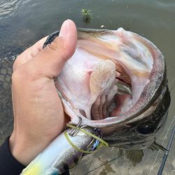 淀川モンスター！