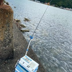 シロギスタ:ぶらり途中下浜の旅