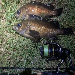 アジなめろうの手巻き寿司