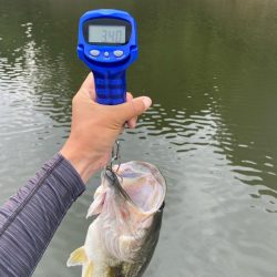 午後から釣行!あと1㎝…