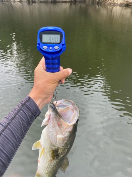 午後から釣行!あと1㎝…