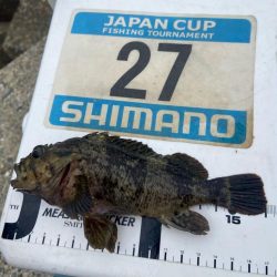 年間1匹:シロギスタのコール&レスポンス