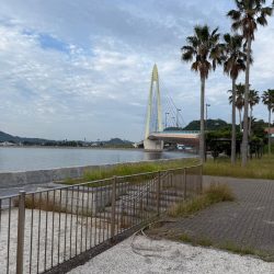 ちょい投げキス釣り