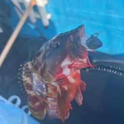 ボートロックフィッシング