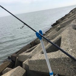 遅いというよりおかしい…