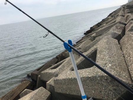 遅いというよりおかしい…