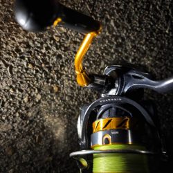 ショアタコ　11