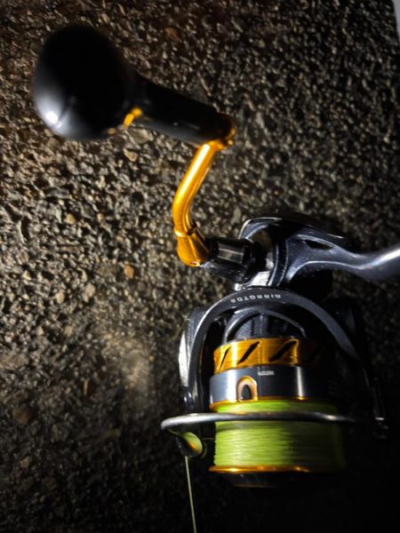 ショアタコ　11