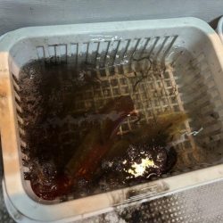 シロイカ釣り初チャレンジ！爆風の中墨付け完了