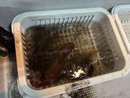 シロイカ釣り初チャレンジ！爆風の中墨付け完了