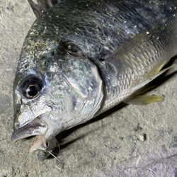 南港　小物調査