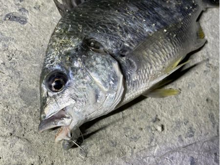 南港　小物調査