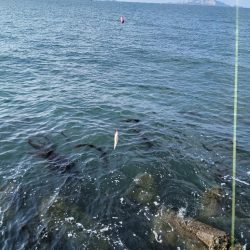 渋すぎるキス!!