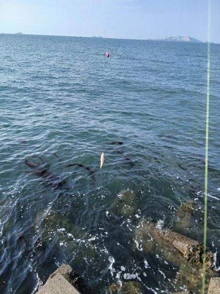 渋すぎるキス!!