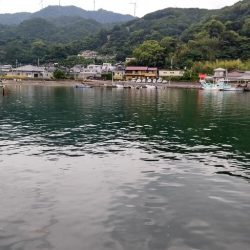 アジを探しに@広川周辺