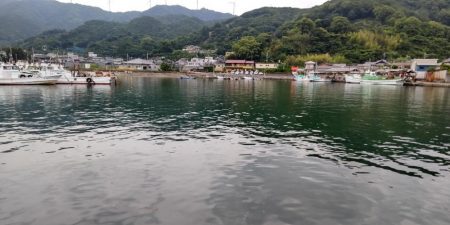 アジを探しに@広川周辺